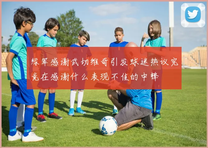 绿军感谢武切维奇引发球迷热议究竟在感谢什么表现不佳的中锋